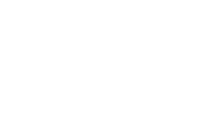 Palliative Care Tasmania logo