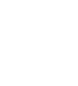 PalliHub logo